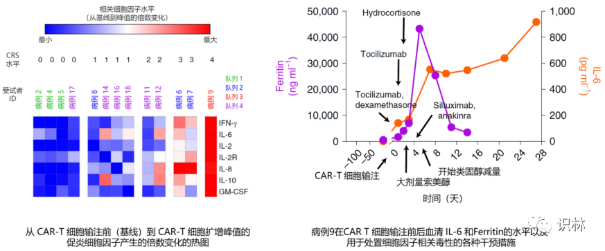 Nature 子刊论文：实体瘤 CAR-T 的关键挑战，以及临床 I 期死亡病例分析