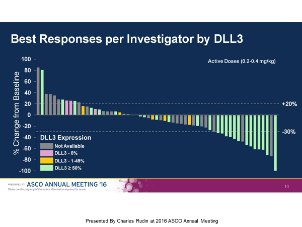 DLL3——被遗忘的小细胞肺癌破局者