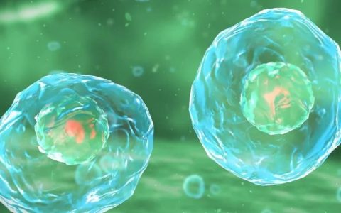 消灭这种“叛徒”免疫细胞，有效治疗实体瘤！并可预防癌症复发！《Cancer Research》新研究找到治疗实体瘤新方法