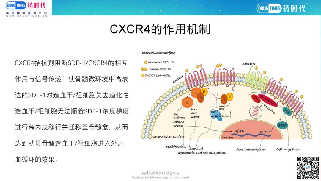 药时代BD-004项目 | 高效、高选择性，靶向CXCR4口服小分子拮抗剂转让国外权益