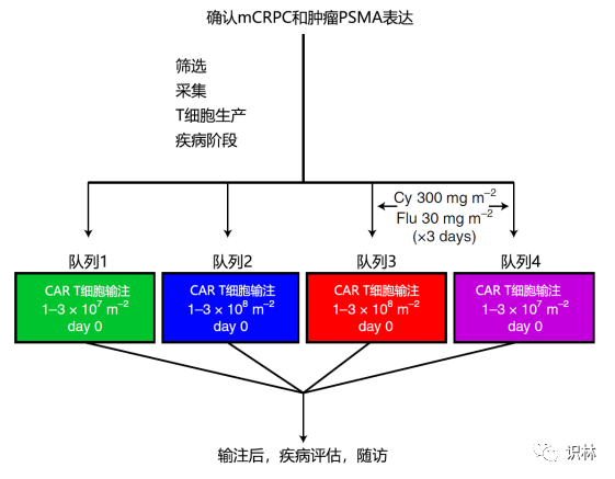 Nature 子刊论文：实体瘤 CAR-T 的关键挑战，以及临床 I 期死亡病例分析