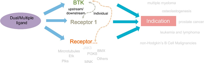 BTK耐药，下一代药物如何开发？