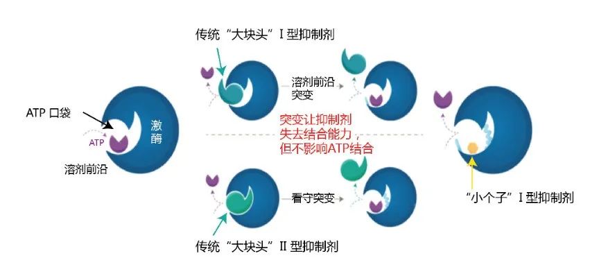 将公司市值送上41亿美元的Repotrectinib, 到底是个什么药？