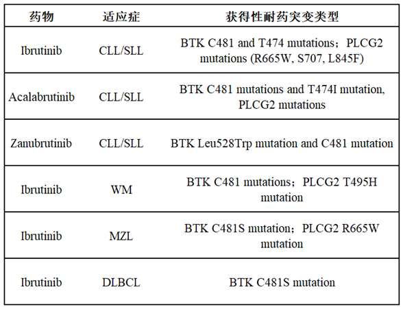 BTK耐药，下一代药物如何开发？