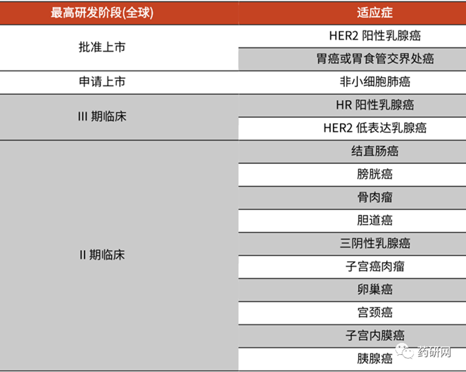 DS-8201又一适应症申报上市，多种国产ADC突围思路及代表企业梳理