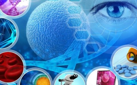 全球生物科技行业收购「新趋势」：小众的「女性健康」与热门的「肺炎球菌疫苗」赛道