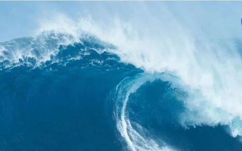 如果出海是一部热播连续剧，那么新剧情层出不穷，跌宕起伏，惊心动魄，扣人心弦！。。。 | 药时代出海系列