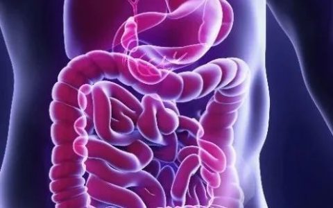 Nature解答难题：为什么免疫系统不会攻击吃进肚子的食物？