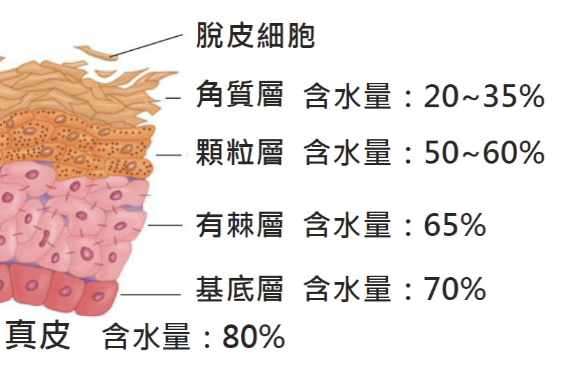 水性凝胶贴片的机理与国外临床试验