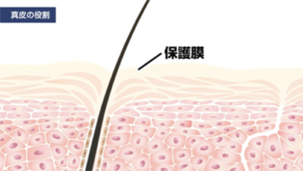 水性凝胶贴片的机理与国外临床试验