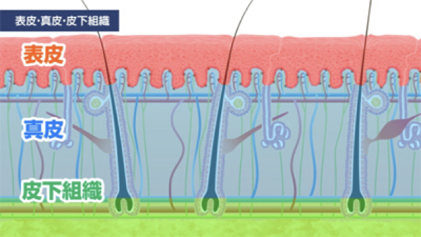 水性凝胶贴片的机理与国外临床试验