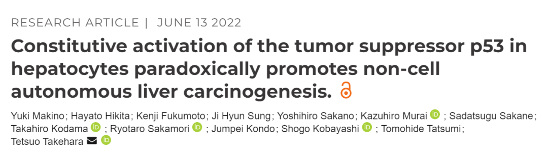 基因组守护者的叛变：最强抑癌基因p53，竟会促进肝癌发展