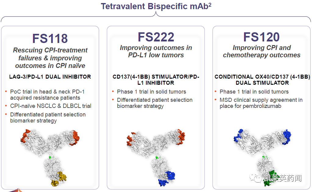双抗市场即将爆发？武田与F-star 就新型下一代免疫肿瘤双特异性抗体签订许可协议