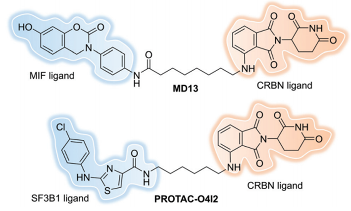 PROTAC全方位综述：过去、现在和未来