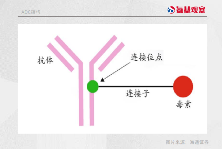 现在的ADC，像极了当年的PD-1