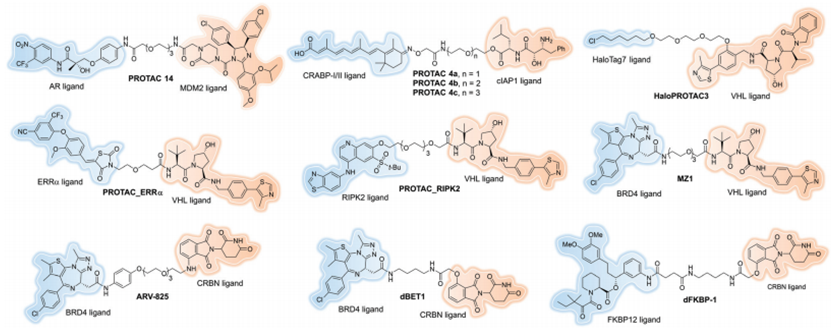 PROTAC全方位综述：过去、现在和未来