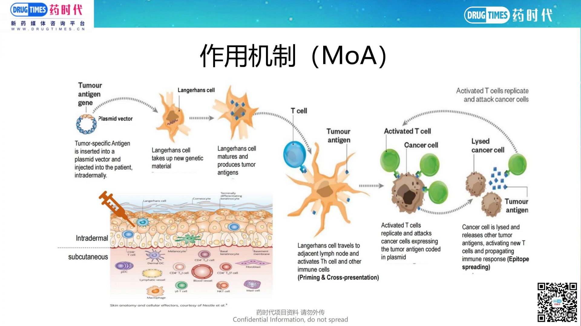 药时代BD-021项目 | 国外癌症疫苗公司寻求国内授权或合作研发