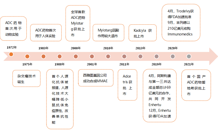 浅谈ADC药物的发展势头