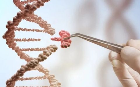 万字长文：从理论到生产，一文读懂mRNA-LNP制剂技术