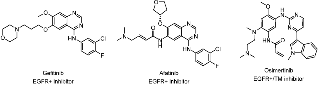 四代EGFR抑制剂BLU-945的研发之路