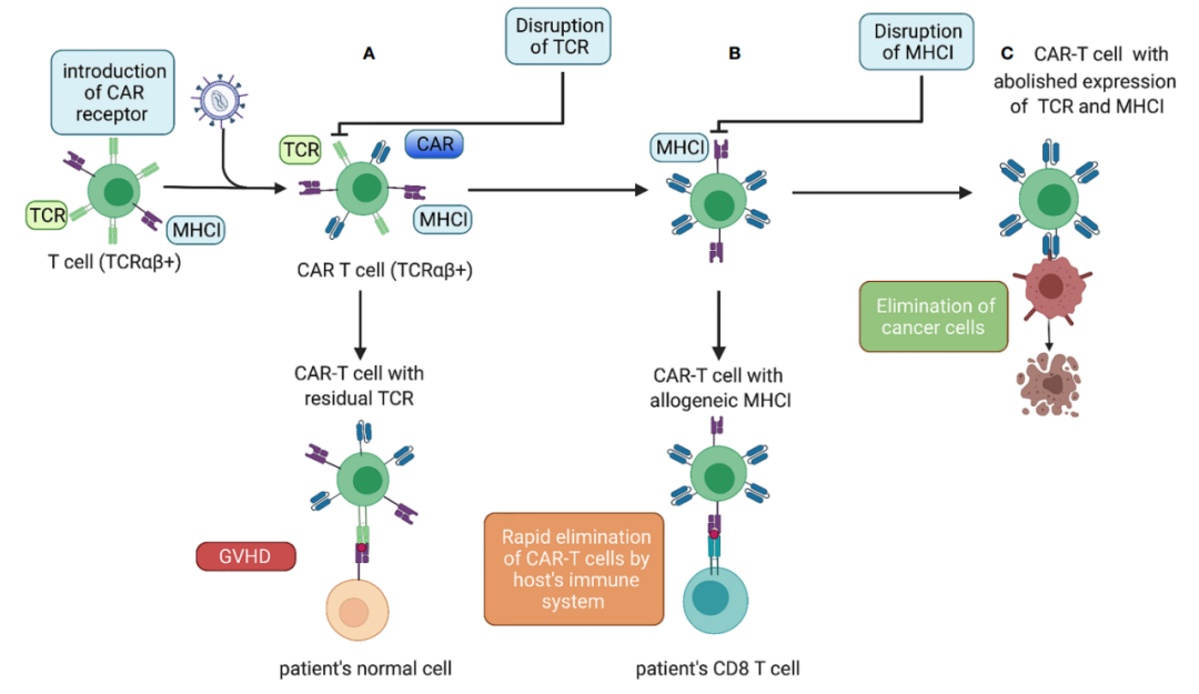 异基因CAR-T细胞治疗的发展现状