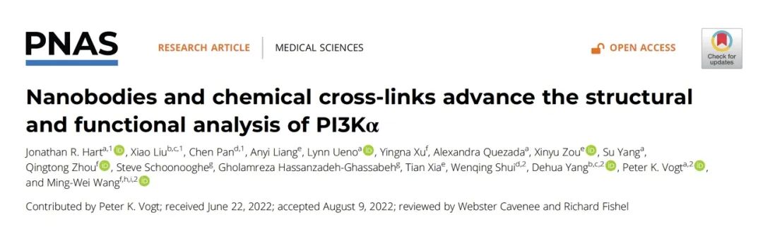 王明伟/Vogt/杨德华/水雯箐领衔中美科学家深度解析重要靶点PI3Kα的结构与功能