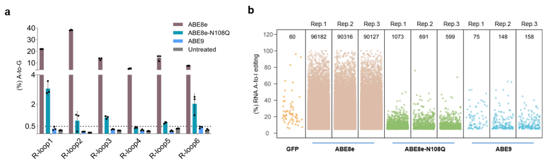 再获重磅成果！邦耀生物Nature Chemical Biology发文，开发精准安全的新型腺嘌呤碱基编辑器——“ABE9”