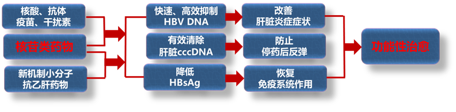 联盟喜讯！君科华元抗乙肝新药完成首例受试者给药，成为全球首个进入临床研究的肝靶向恩替卡韦前药！