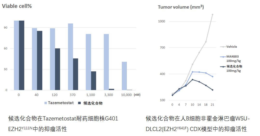 超越双螺旋——表观遗传学未来已来！中国新药项目寻找合作伙伴共创未来