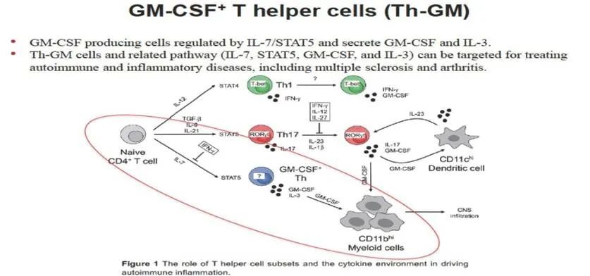 健艾仕生物STAT5抑制剂在新冠肺炎引起的炎症因子风暴的临床试验进展顺利