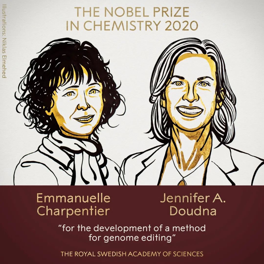这些女性诺奖得主既是杰出的科学家，也是成功的企业家！