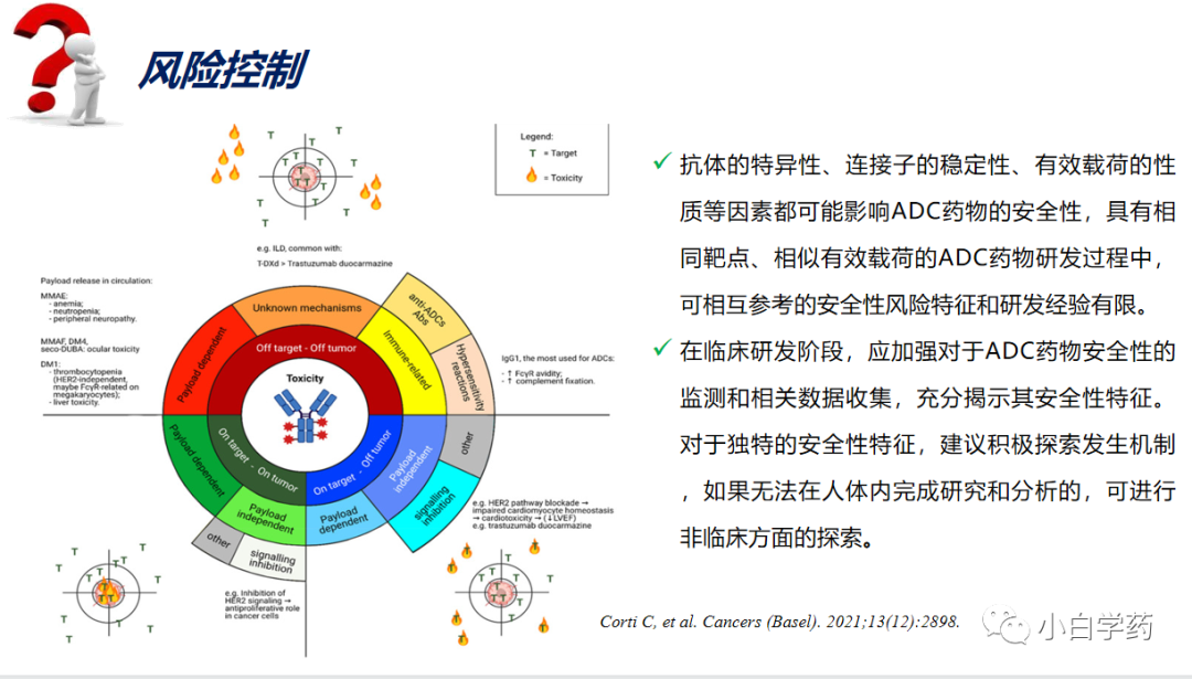 CDE重磅PPT | 抗肿瘤ADC药物的临床研发与审评考虑