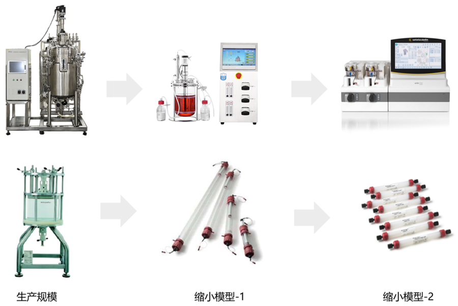工艺表征中缩小模型的建立和确认