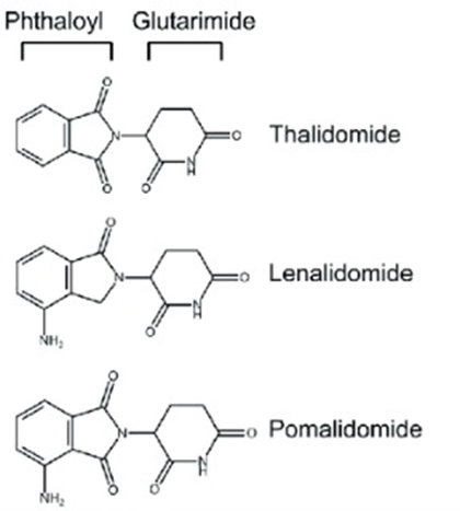 万字好文分享：靶向蛋白降解药物（TPD)，一个全新的小分子药物时代即将来临！（下）