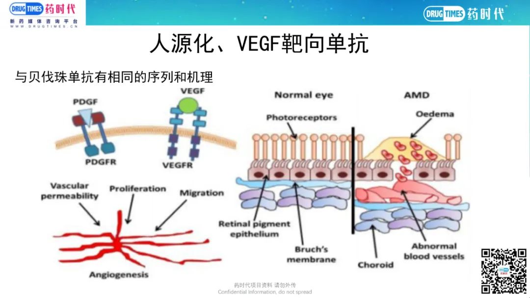 药时代BD-038项目 | VEGF靶向单抗III期眼病蓝海项目