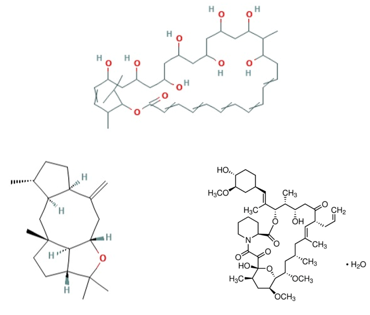 万字好文分享：靶向蛋白降解药物（TPD)，一个全新的小分子药物时代即将来临！（下）