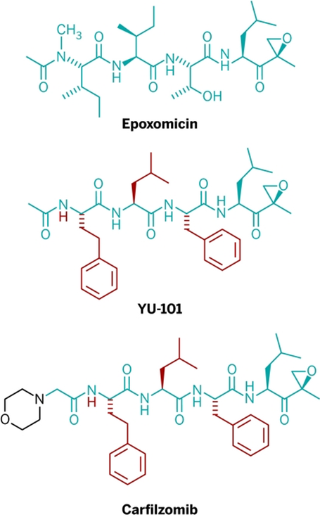 万字好文分享：靶向蛋白降解药物（TPD)，一个全新的小分子药物时代即将来临！（上）