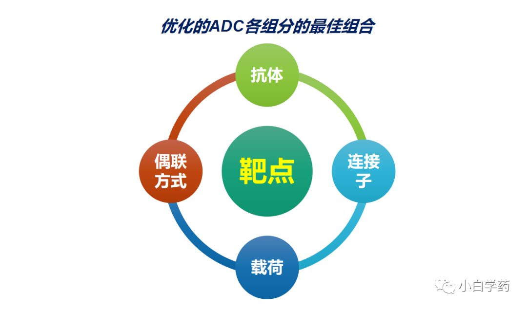 CDE重磅PPT | 抗肿瘤ADC药物的临床研发与审评考虑