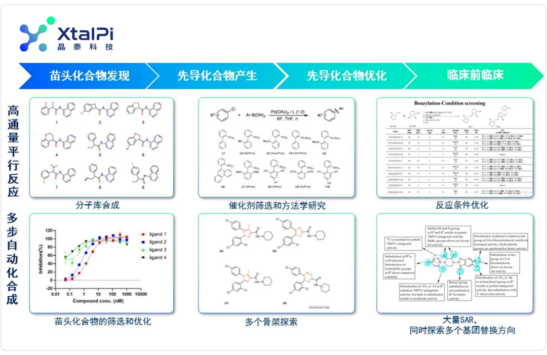 自成一派 | 解锁晶泰科技自动化合成实验室：人机结合，降本增效