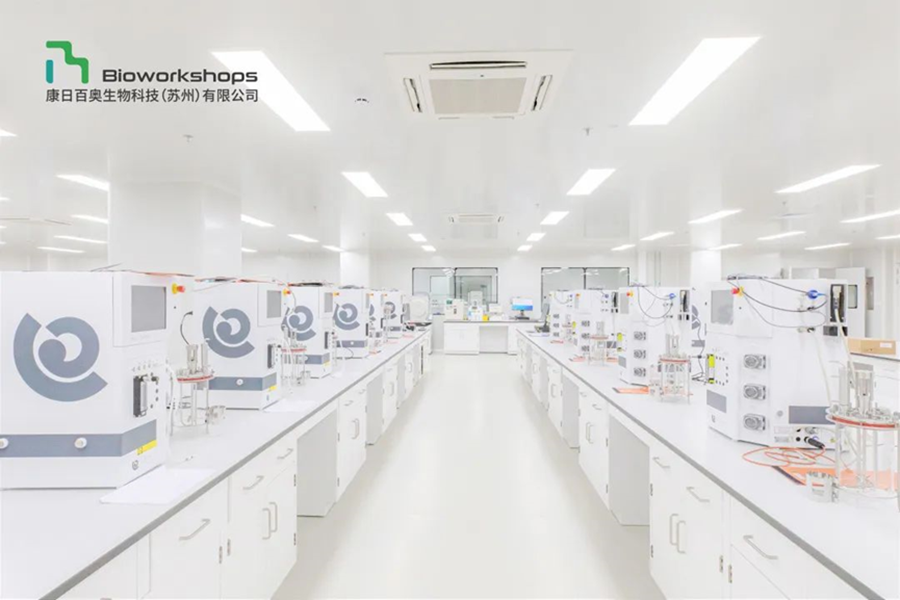工艺表征中缩小模型的建立和确认