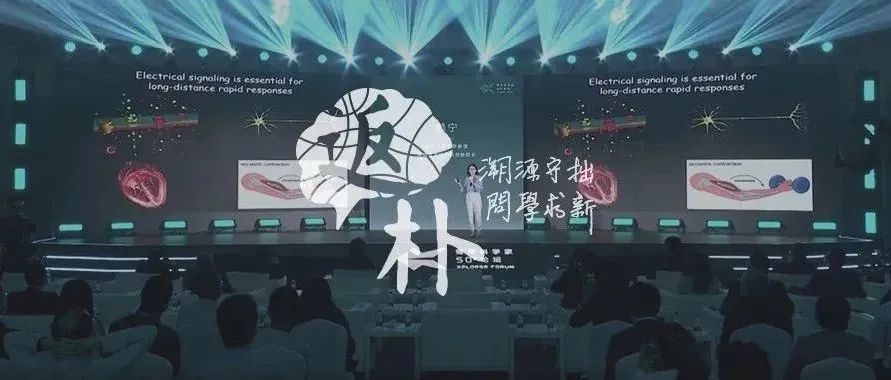 第四届“健康中国思南峰会”在沪召开：数字化转型推动医疗健康产业变革