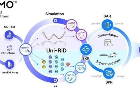 动力学+铁死亡：深势科技首次公开RiDymo™平台管线应用进展