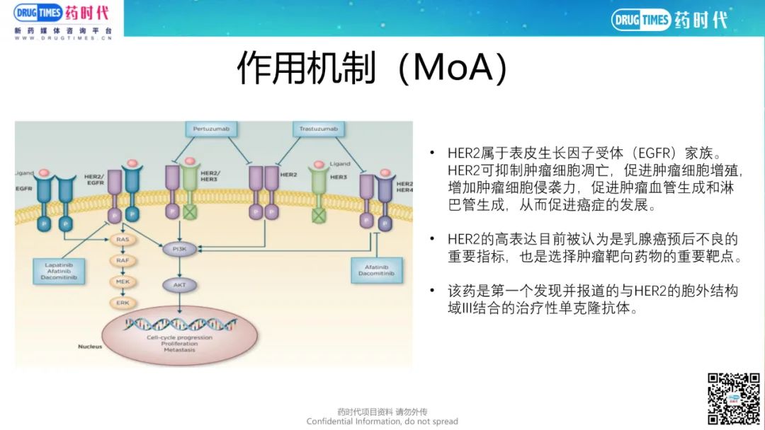 药时代BD-040项目 | HER2靶向FIC潜力乳腺癌一/二线疗法