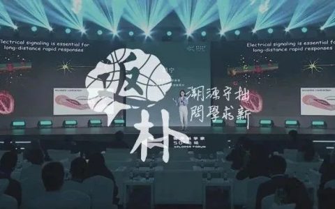 【重磅录像】颜宁:“AI在结构生物学中的未达之地”