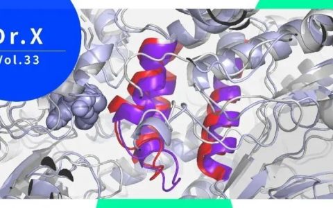 Dr.X  | 高选择性变构剂开发中不可或缺的动力学模拟技术