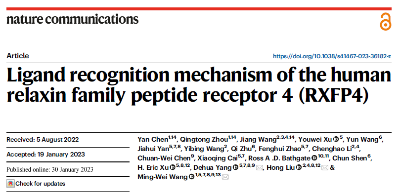 王明伟/柳红/杨德华领衔合作团队成功解析人源松弛素/胰岛素样肽受体4复合物三维结构