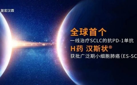 全球首个一线治疗小细胞肺癌的抗PD-1单抗，H药新适应症在中国获批了！