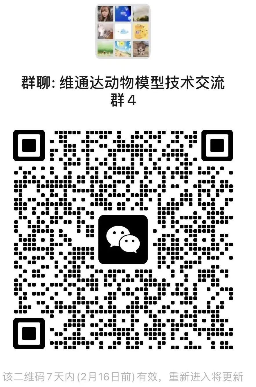 乙肝小鼠模型助力乙肝、肝纤维化和NASH相关研究