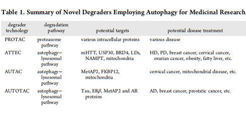 阿尔茨海默病、癌症......看「新型自噬降解剂」的研究进展，这是继PROTAC之后又一新起之秀