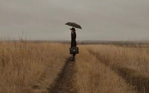 1亿美元只抢到1个月时间，怎么看？